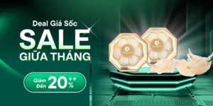 Thế Giới Yến – Tinh túy Yến Sào Ngon Tại Kiên Giang
